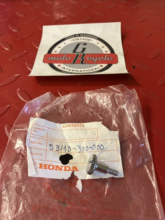 NOS HONDA CB750 CB350 CB500 CB550 BOLT THROTTLE GRIP ADJUSTING 53190-300-000 H24