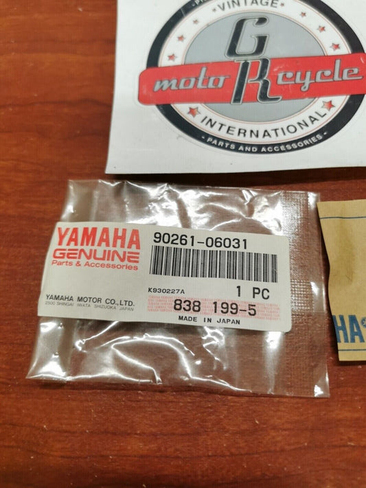 NOS Yamaha 1992 - 1994 VX750 COUNTERSUNK HEAD RIVET 90261-06031-00 Y99