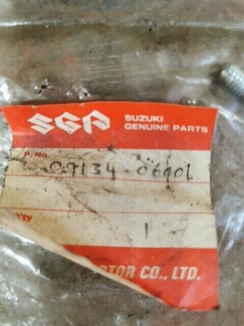 NOS SUZUKI A100 DR100 DR125 GN125 GN250 GP100 GR650 TS125 SCREW 09134-06001 S54