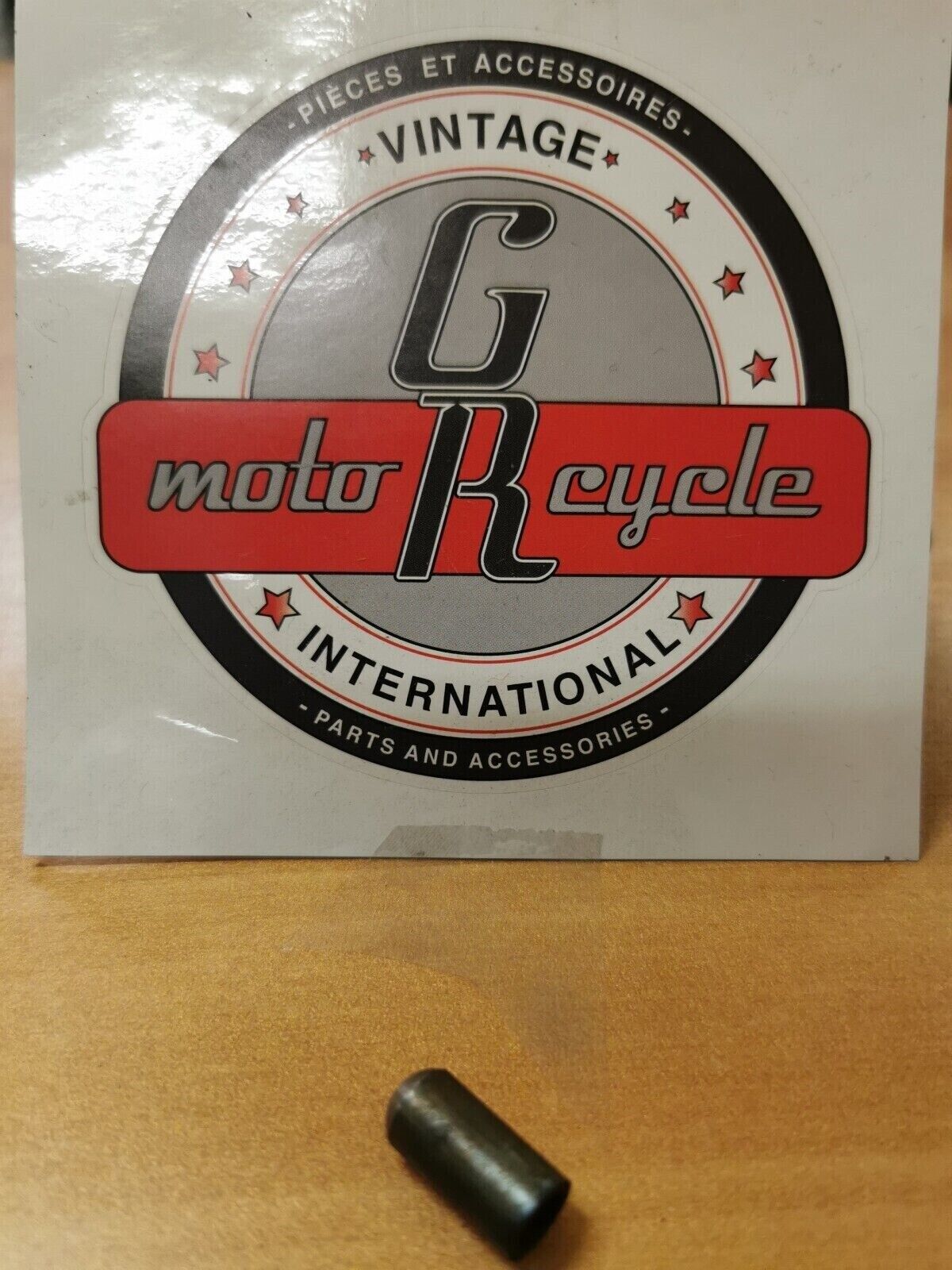 NOS CAN-AM TNT MX GEARSHIFT DRUM PLUGER INDEX  CA2