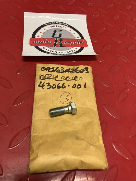NOS KAWASAKI OIL LINE BOLT L=23 43066-001 SUPERCEDED BY 92153-0627 K19