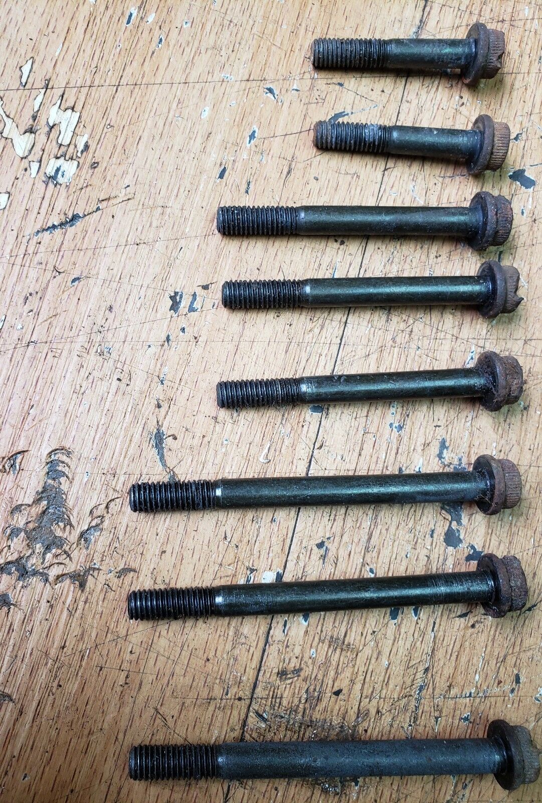 XR250R 1985 crankcase crank case bolts screw XL250R XR200R XR250 XL250 XR200