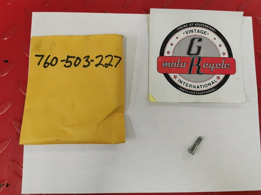 NOS PUCH BOMBARDIER MAXI  HANDLE LEVER SCREW 760-503-227  P3