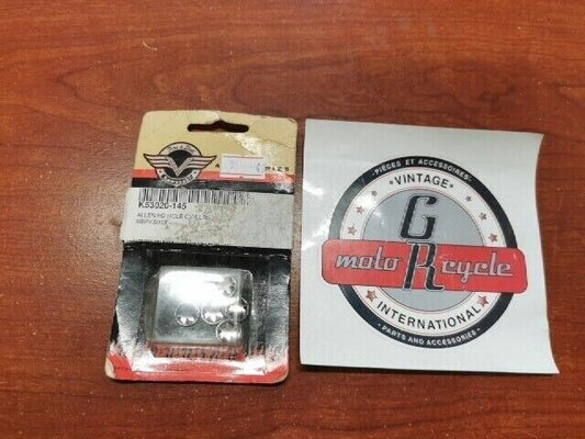 NOS Kawasaki VN1500 VN900 VN750 ALLEN HEAD HOLE COVER LARGE 10MM K53020-145 K38
