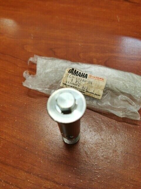 NOS Yamaha UNION BOLT BYPASS VALVE 1L9-13340-01-00 SUB 90401-20043-00 Y111