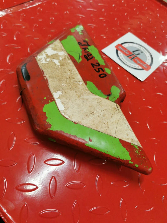 Kawasaki KT250 1976 Trial 250 right side cover panel fairing 1975