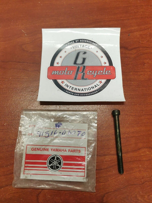 NOS Yamaha YFM350 YFM400 SOCKET BOLT 91316-06070-00 SUB. 91317-06070-00 Y72