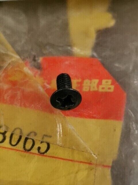 NOS SUZUKI GN125 GN125E GN400T GN400TX GS1000E GS250T SCREW 3X6 02132-03065 S46