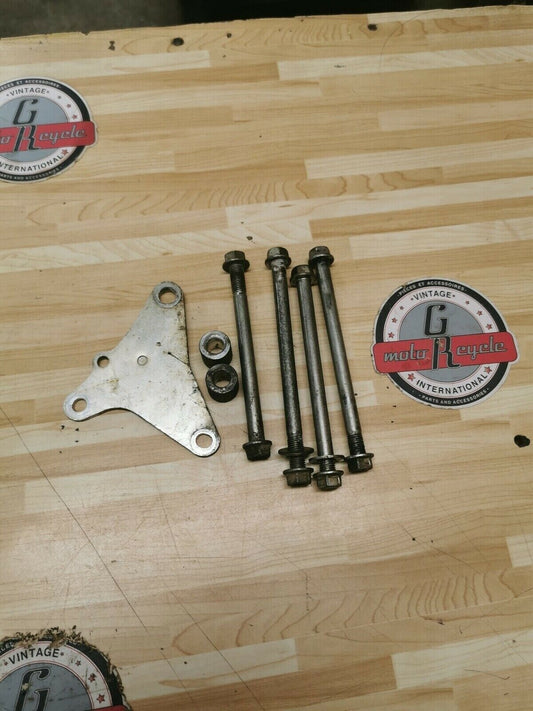 Honda CRF250L 2013 motor engine mount mounting bolt plate hanger 2013 - 2019