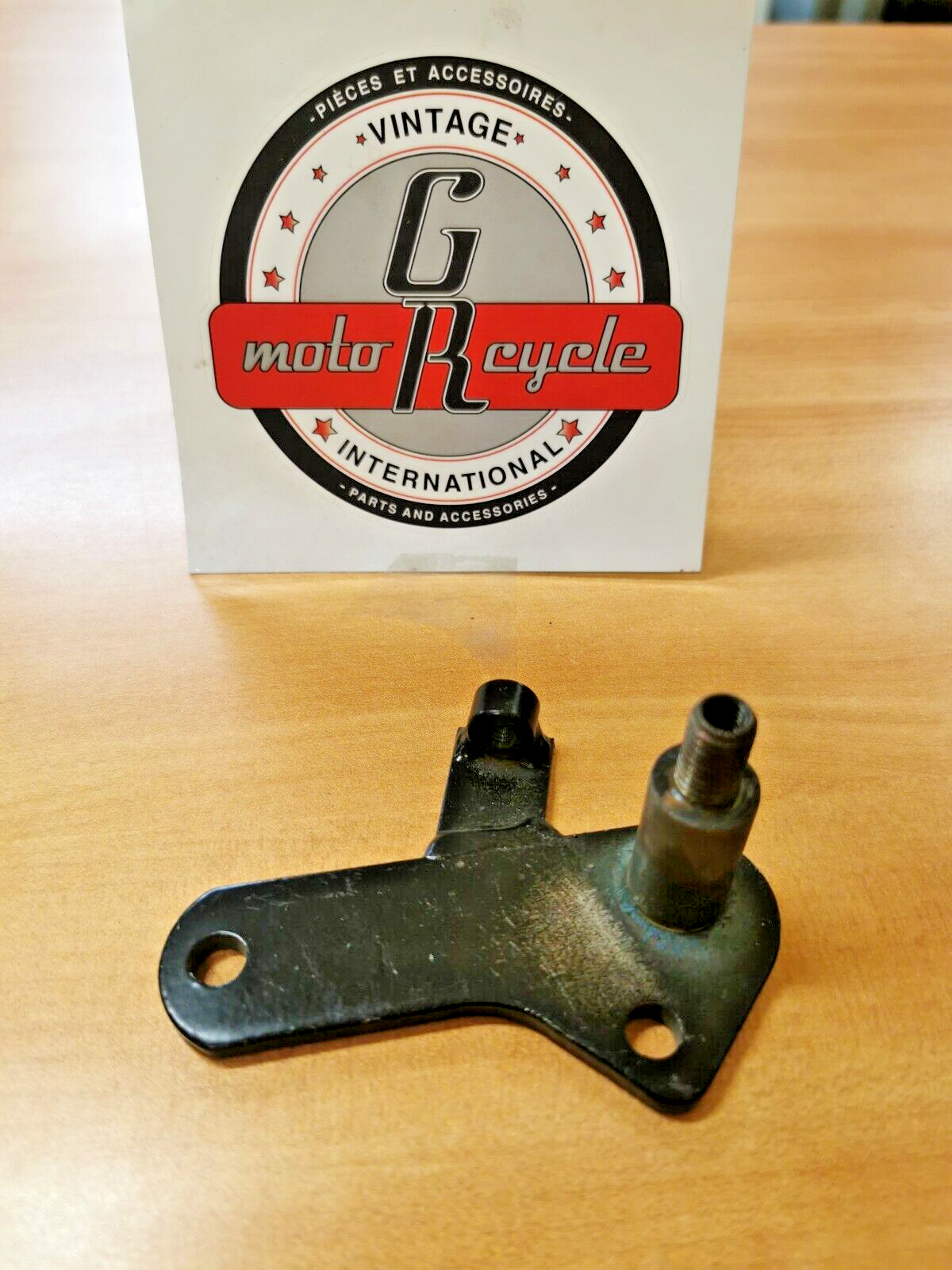 NOS CAN-AM  TNT MX  REAR BRAKE PEDAL PIVOT MOUNT BRACKET  746-018-002 CA2