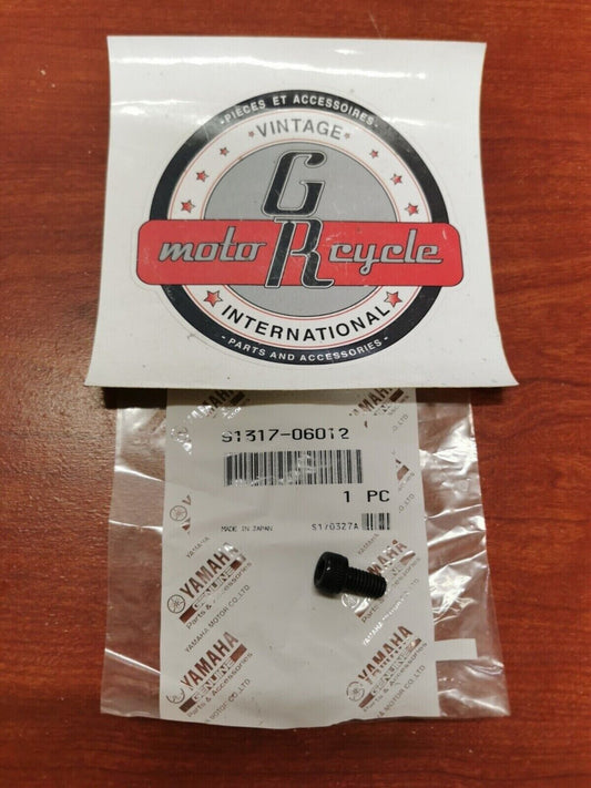 NOS Yamaha XS850 XS750 XV700 XV1000 XVZ13 BOLT 91317-06012-00 Y84