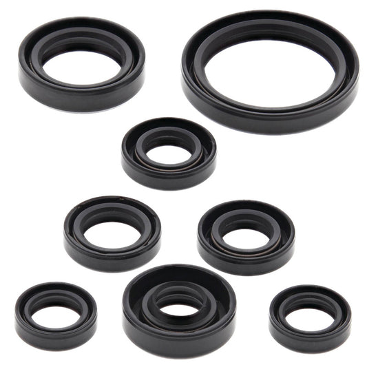 VERTEX OIL SEAL KIT 822167