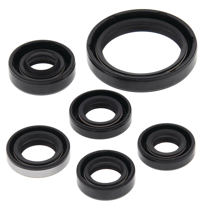 VERTEX OIL SEAL KIT 822334