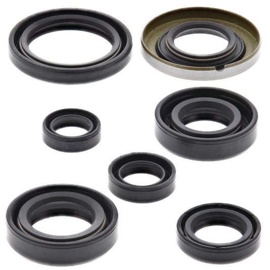 VERTEX OIL SEAL KIT 822160