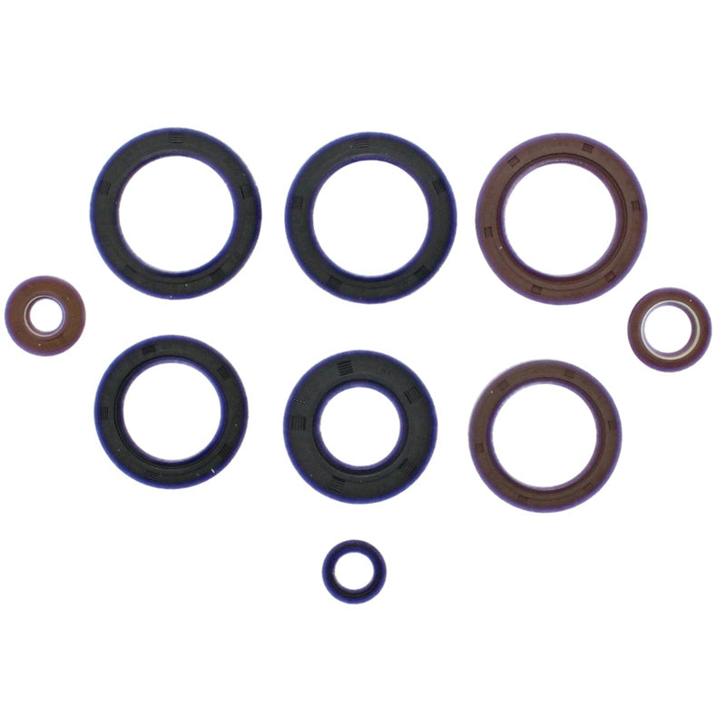 VERTEX OIL SEAL KIT 822991