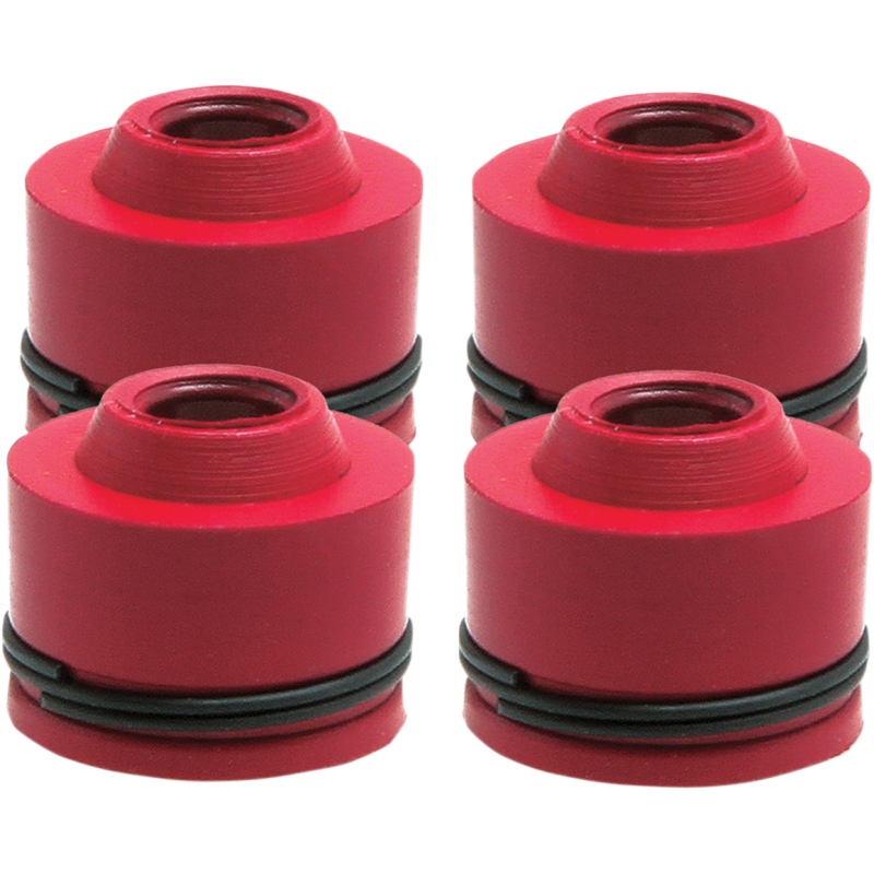 KIBBLEWHITE SEAL VLV GD KX250F 4/PK 71013-4