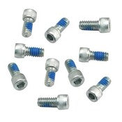 S&S CYCLE A/CLEANER BACK PLATE SCREW E/G (10) 106-2105