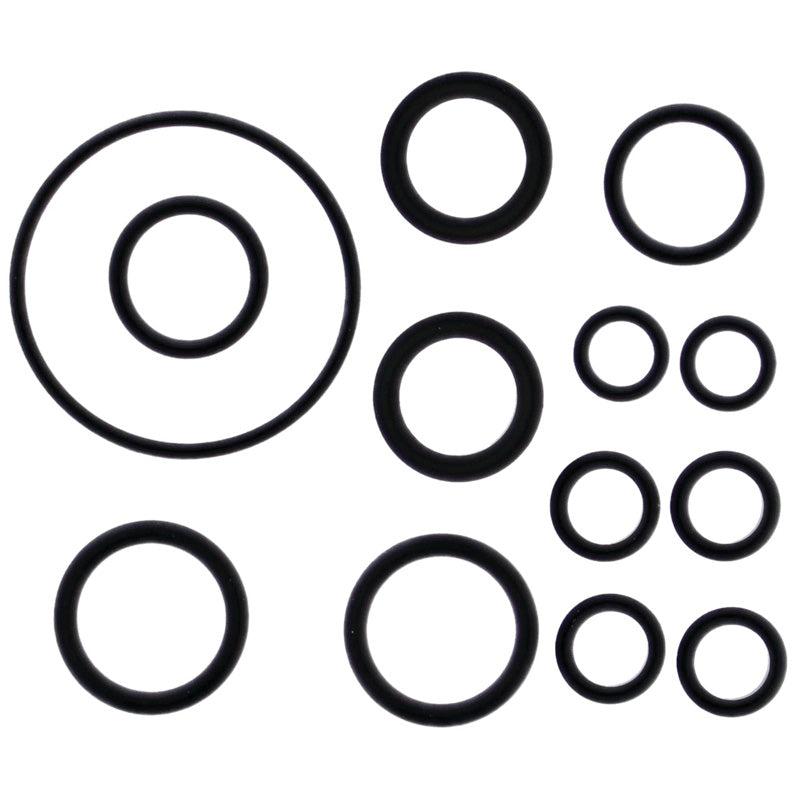 VERTEX INJECTOR O-RING 725004