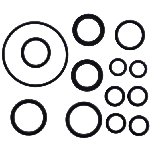 VERTEX INJECTOR O-RING 725004