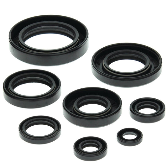 VERTEX OIL SEAL KIT 822147
