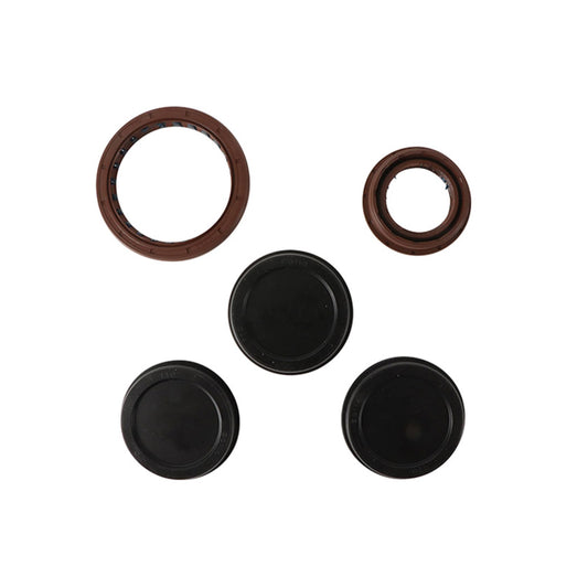 VERTEX OIL SEAL KIT 822188