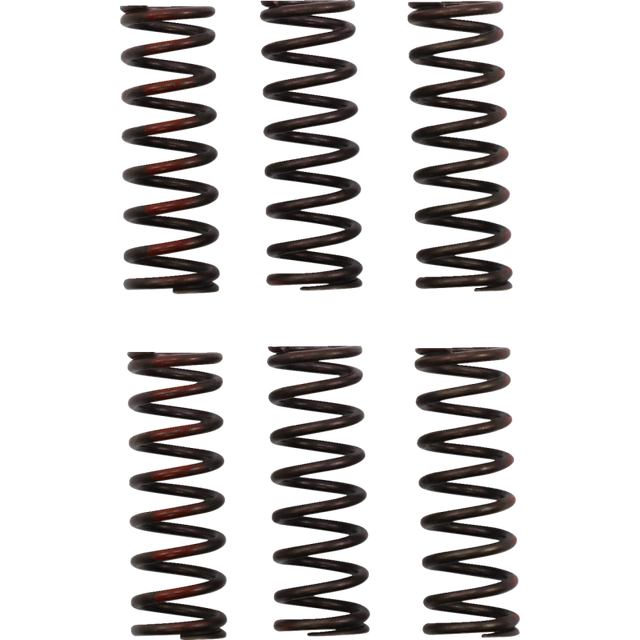 PRO CIRCUIT CLUTCH SPRING CRF450R CSH21450-CS