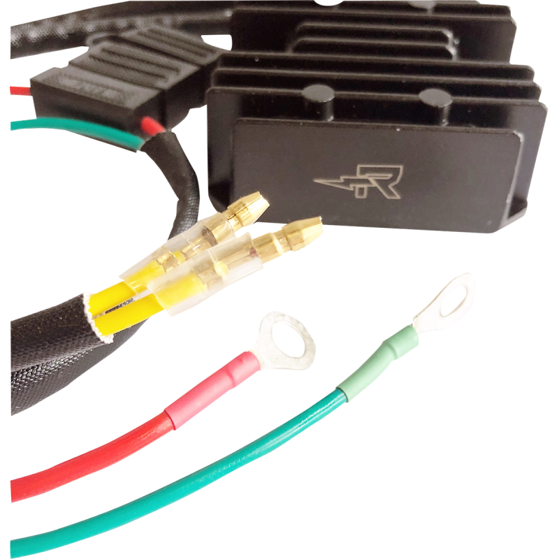 RICK'S MOTORSPORT ELECTRIC CHARGING KIT LITH-ION 14-99-101