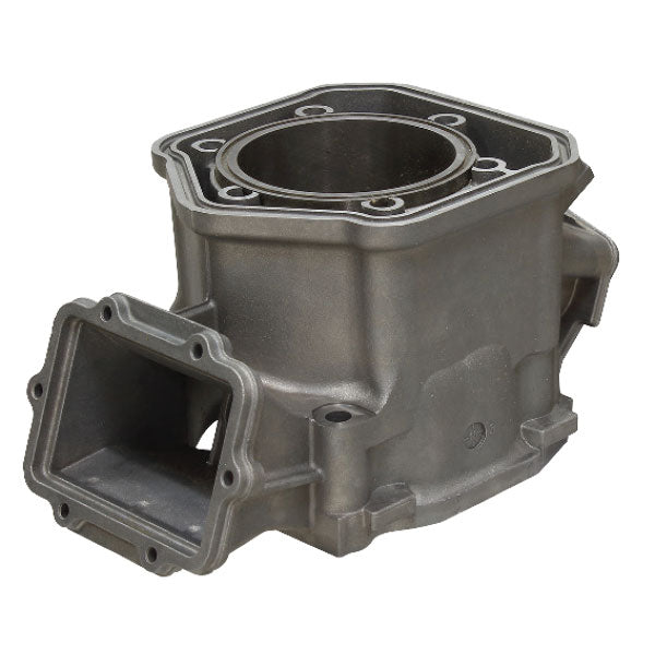 SPX ENGINE CYLINDER SKI-DOO SM-09608