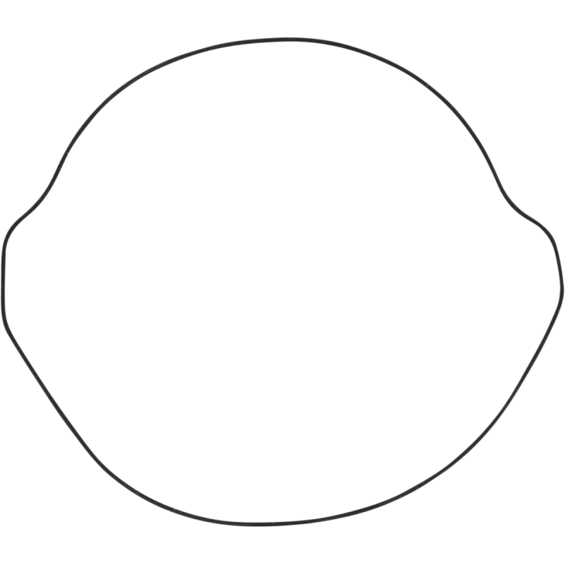 WINDEROSA OUTER CLUTCH GASKET KIT 817252