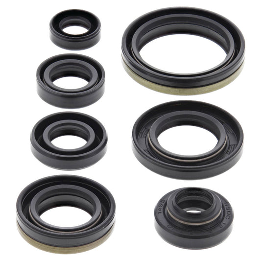 VERTEX OIL SEAL KIT 822176