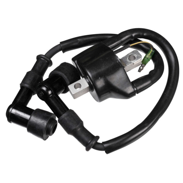 SIERRA IGNITION COIL 18-5166