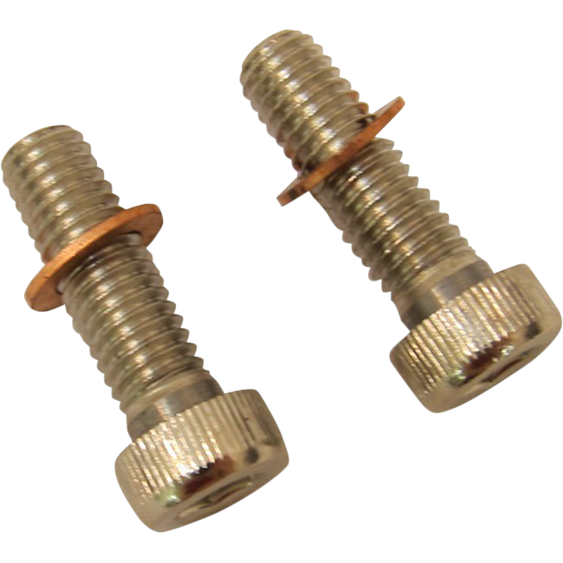 DRAG SPECIALTIES 75-17 B/T SCREWS W/WSHRS DMPR TB 2401-0851