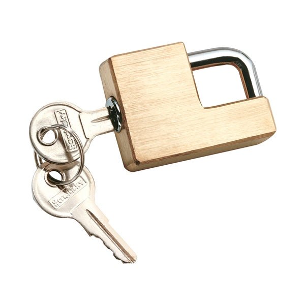 REESETOWPOWER COUPLER LOCK ADJUSTABLE BRASS 7005300