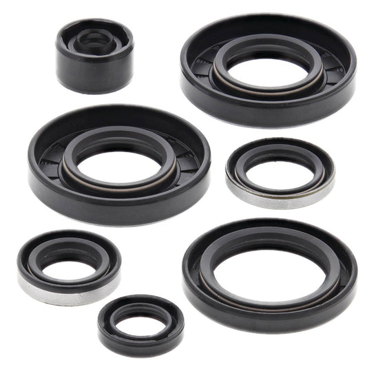 VERTEX OIL SEAL KIT 822291