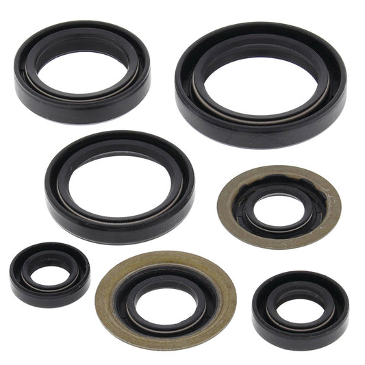VERTEX OIL SEAL KIT 822260