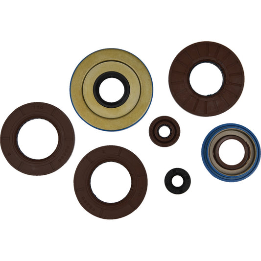 VERTEX OIL SEAL KIT 822375