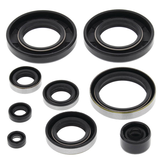 VERTEX OIL SEAL KIT 822282