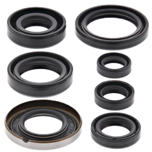 VERTEX OIL SEAL KIT 822161
