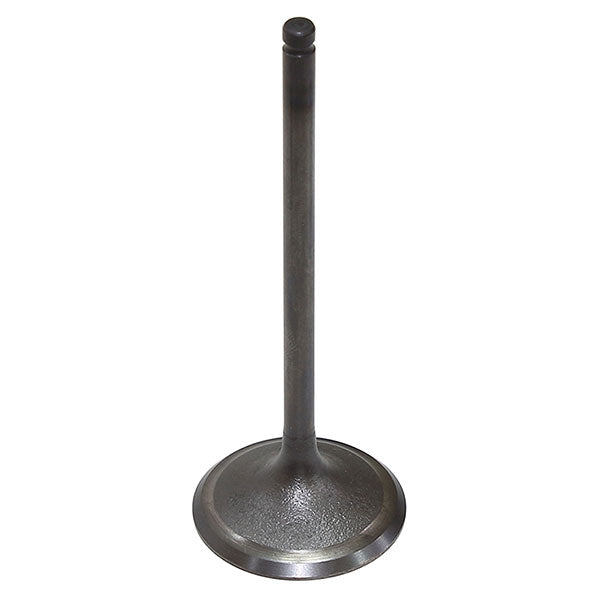 BRONCO ATV/UTV INTAKE VALVE ARCTIC CAT AU-09221I