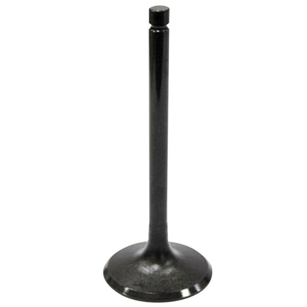 BRONCO ATV/UTV INTAKE VALVE YAMAHA AU-09016I