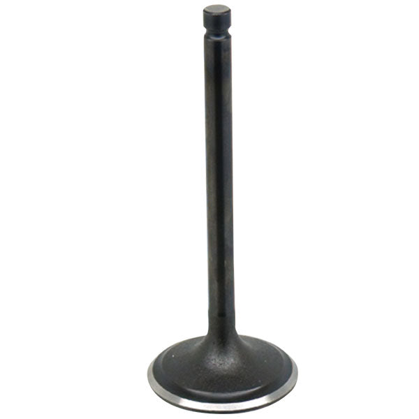 BRONCO ATV/UTV INTAKE VALVE YAMAHA AU-09156I