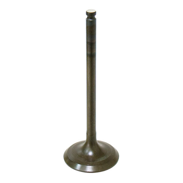 BRONCO ATV/UTV INTAKE VALVE YAMAHA AU-09160I