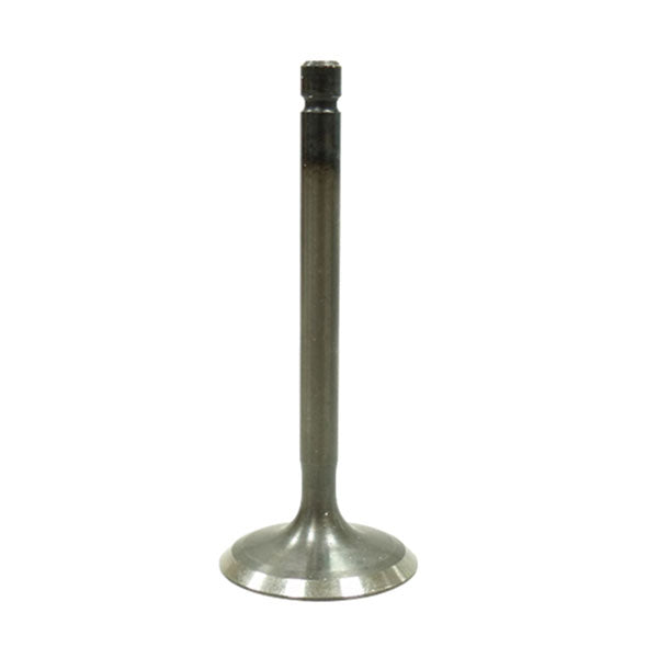 BRONCO ATV/UTV INTAKE VALVE YAMAHA AU-09217I