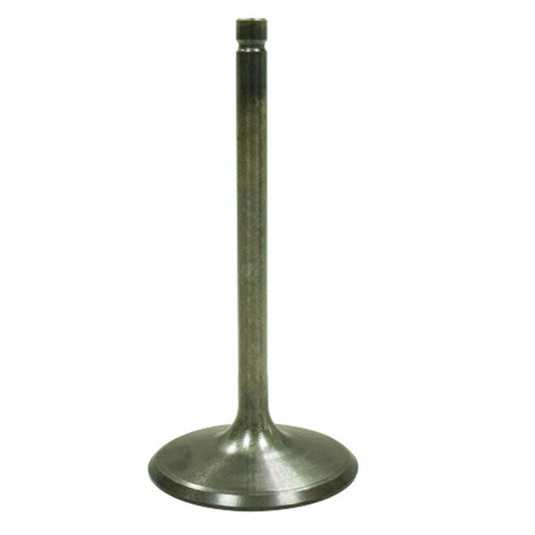 BRONCO ATV/UTV INTAKE VALVE YAMAHA AU-09219I