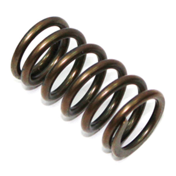 PSYCHIC INTAKE/EXHAUST VALVE SPRING YAMAHA XU-09521S
