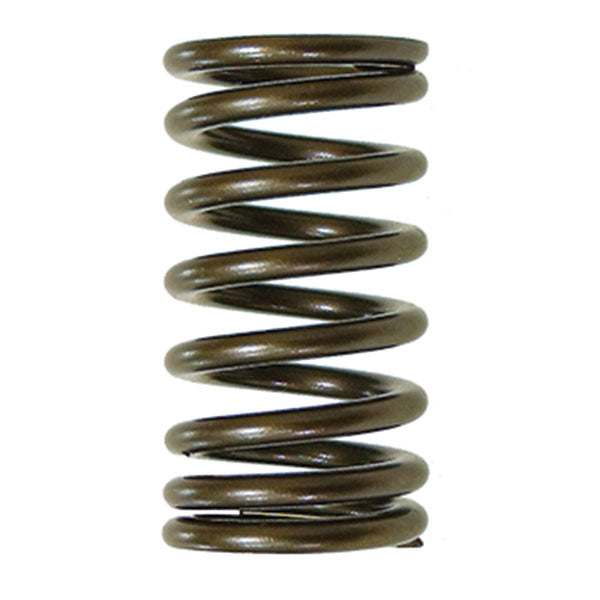 PSYCHIC EXHAUST VALVE SPRING YAMAHA XU-09541ES
