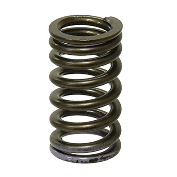 PSYCHIC EXHAUST VALVE SPRING YAMAHA XU-09553ES