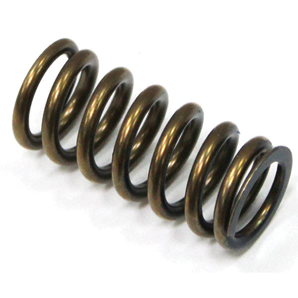 PSYCHIC INTAKE VALVE SPRING YAMAHA XU-09519IS