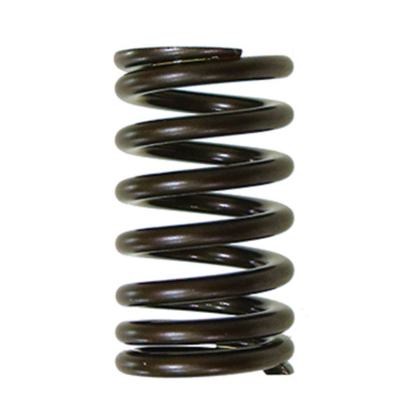 PSYCHIC INTAKE VALVE SPRING YAMAHA XU-09541IS