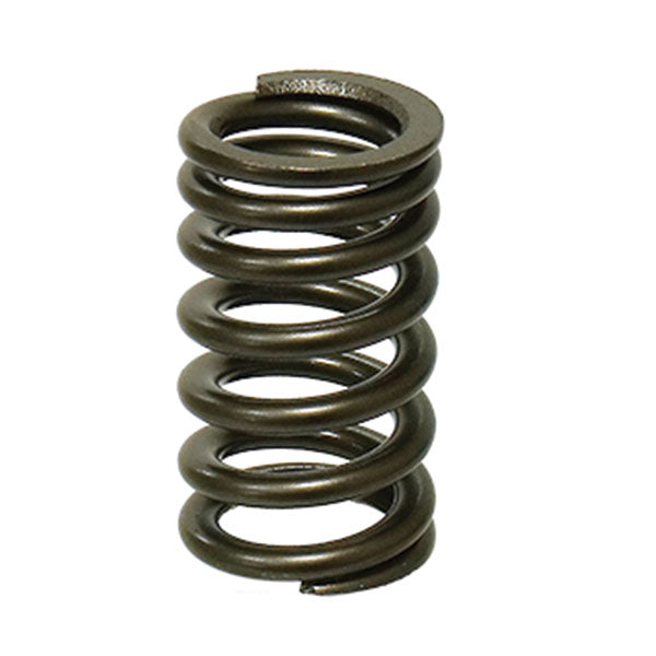 PSYCHIC INTAKE VALVE SPRING YAMAHA XU-09553IS